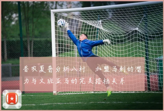 香农夏普分析八村塁加盟马刺的潜力与文班亚马的完美搭档关系
